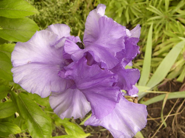 P1240448