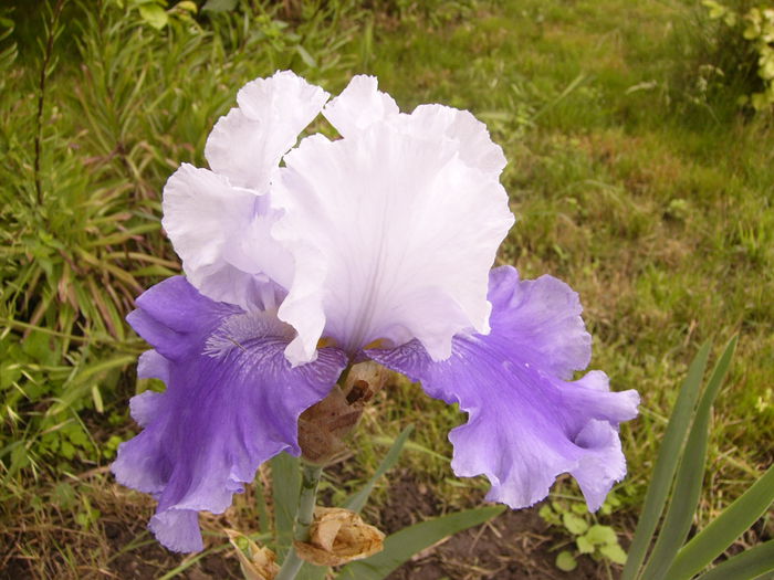 P1240450