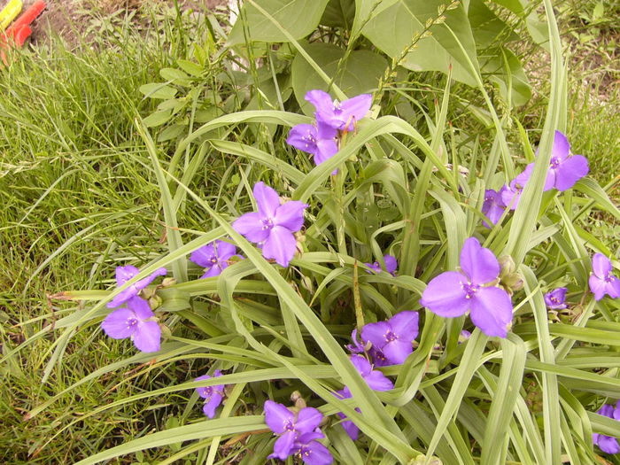 P1240452