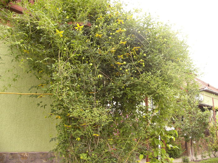 P1240454