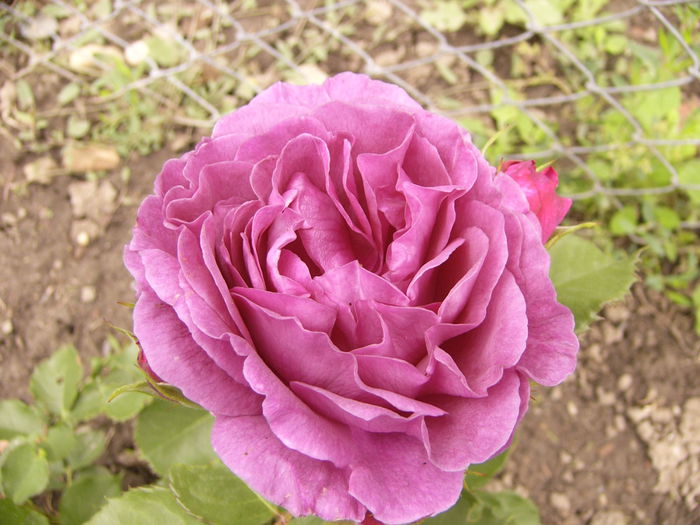 P1240460