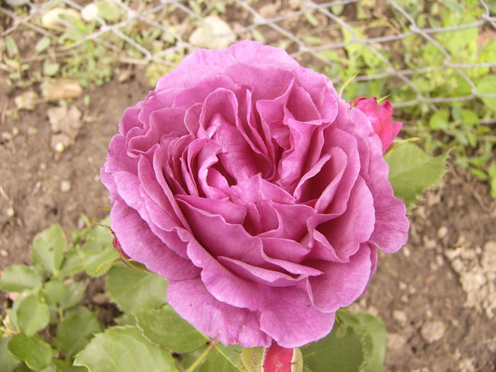 P1240461