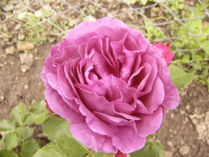 P1240462