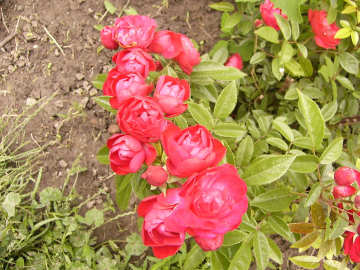 P1240464
