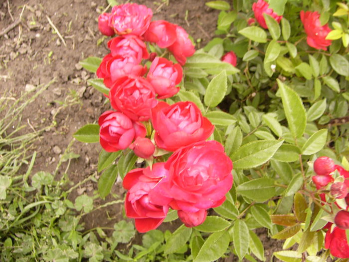 P1240465