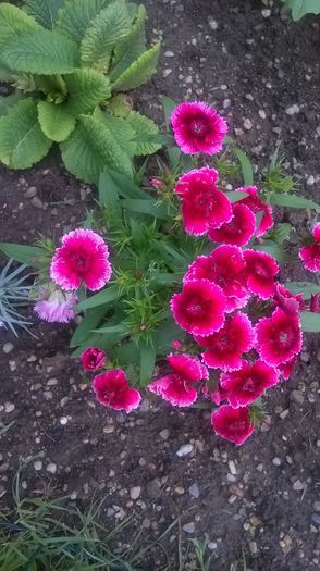 WP_20150526_15_21_10_Pro