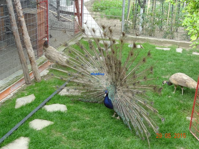 DSC09609
