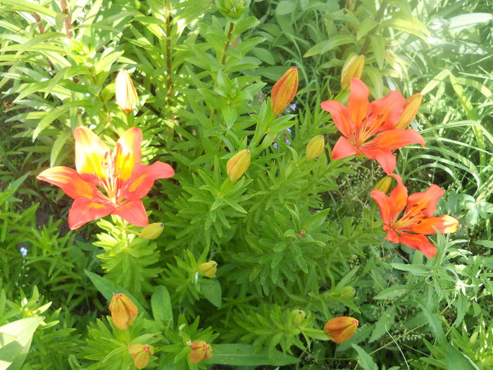 DSCN7690