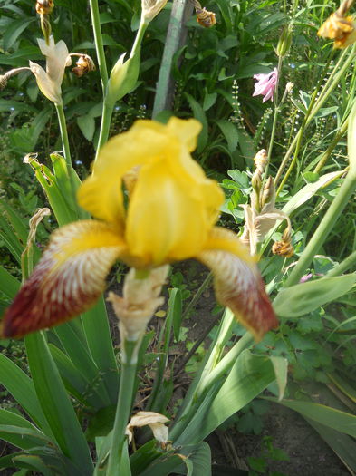 DSCN7703