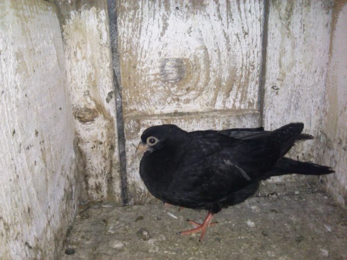 IMG_20150528_202311_116 - 2015