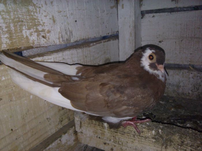 IMG_20150528_202441_851