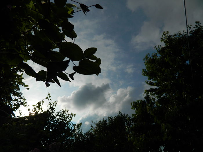 DSCN8294 - 2015_MAI_5