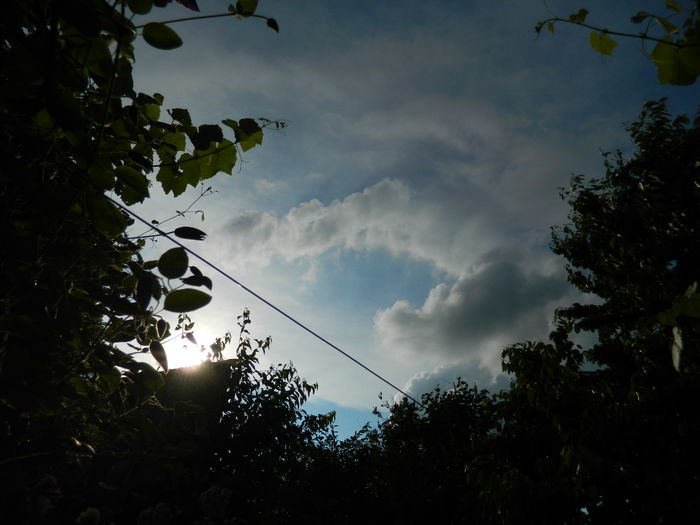 DSCN8297 - 2015_MAI_5