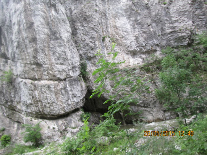 IMG_2628 - Runcu mai 2015