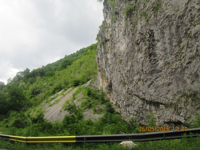 IMG_2641 - Runcu mai 2015