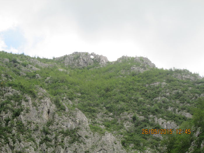 IMG_2643 - Runcu mai 2015