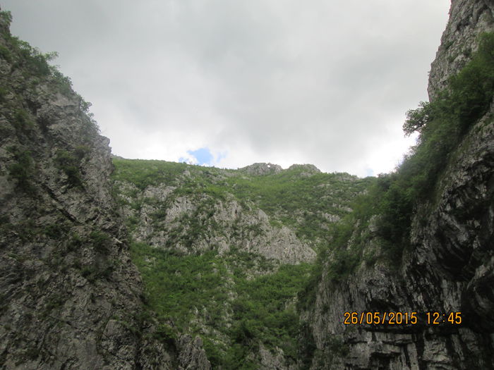 IMG_2644 - Runcu mai 2015