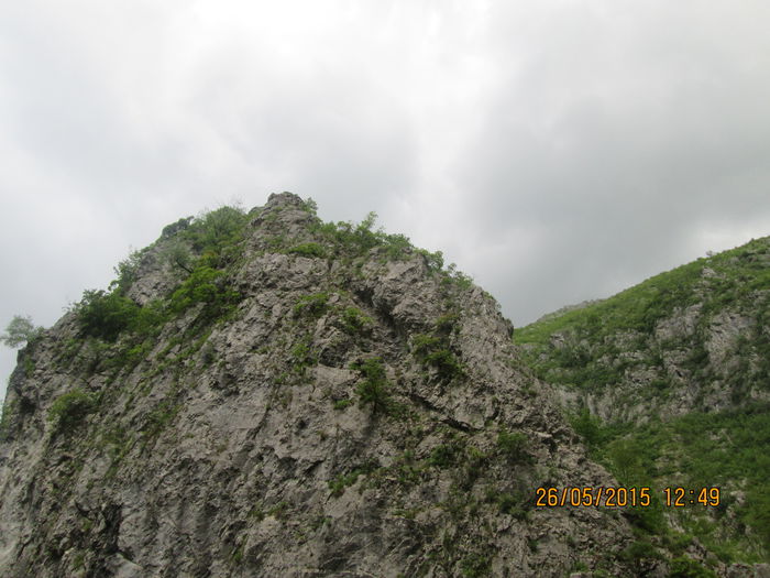 IMG_2667 - Runcu mai 2015