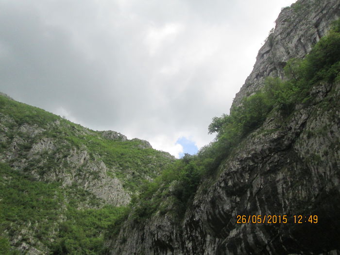 IMG_2670 - Runcu mai 2015