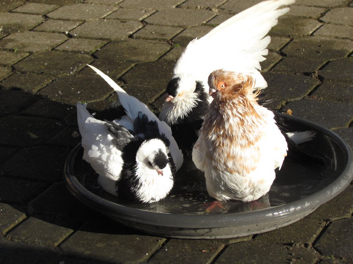 April - Mai 2015 249