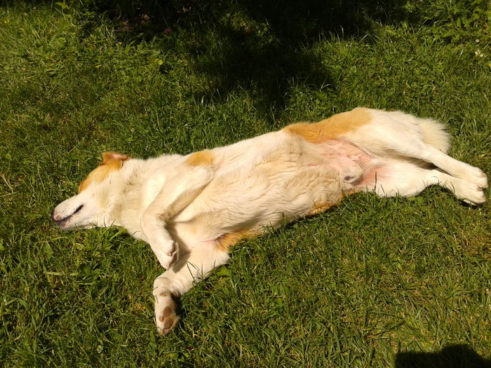 @RELAX:)) - AAAAAAAAA_OSMAN_IN MEMORIAM