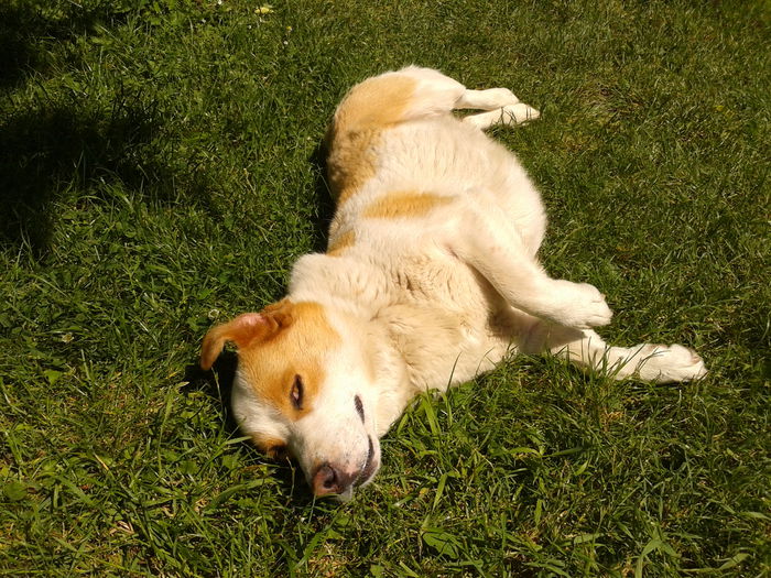 @RELAX :))) - AAAAAAAAA_OSMAN_IN MEMORIAM