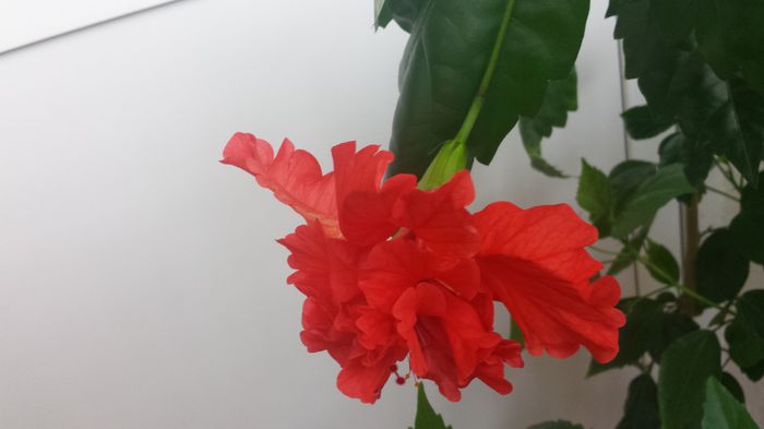20150529_200001