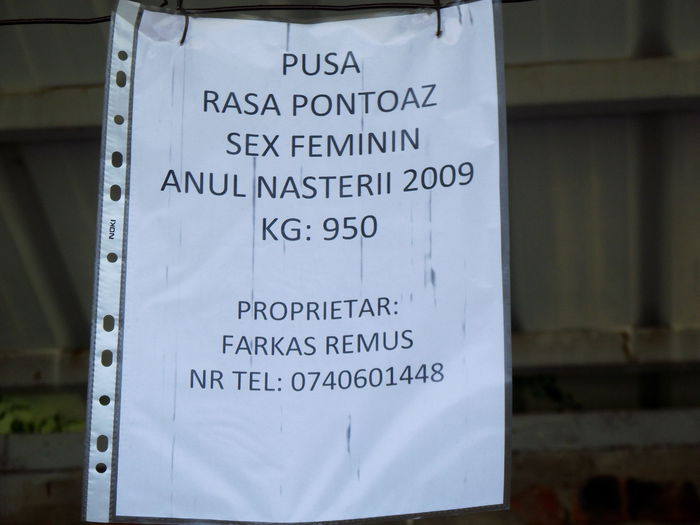 DSCF3079 - 8---expozitie banatagralim 29 05 2015-31 05 2015