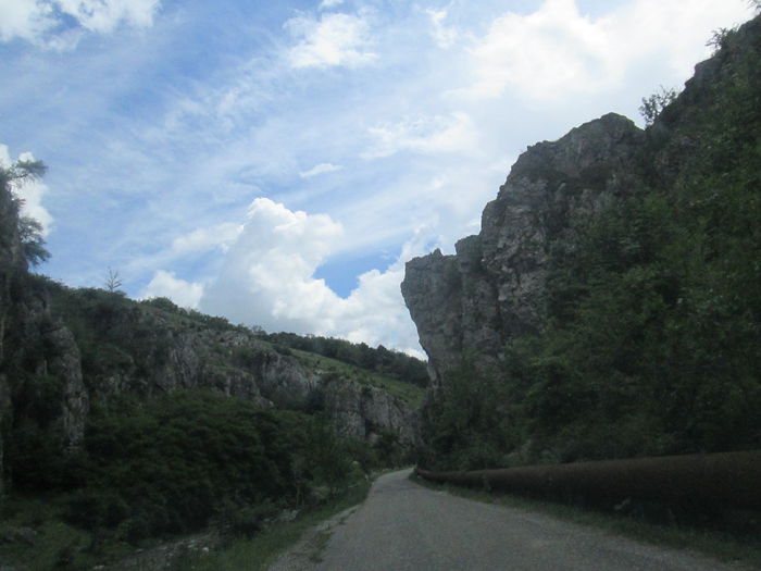 IMG_2772 - Runcu mai 2015