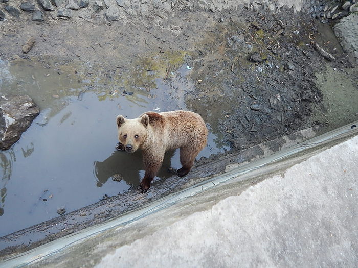 DSCN1138 - Zoo Timisoara 30-05-2015