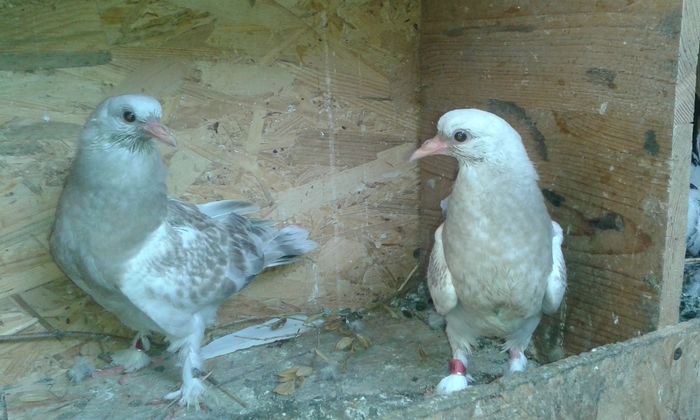 20150519_180625 - TAKLA