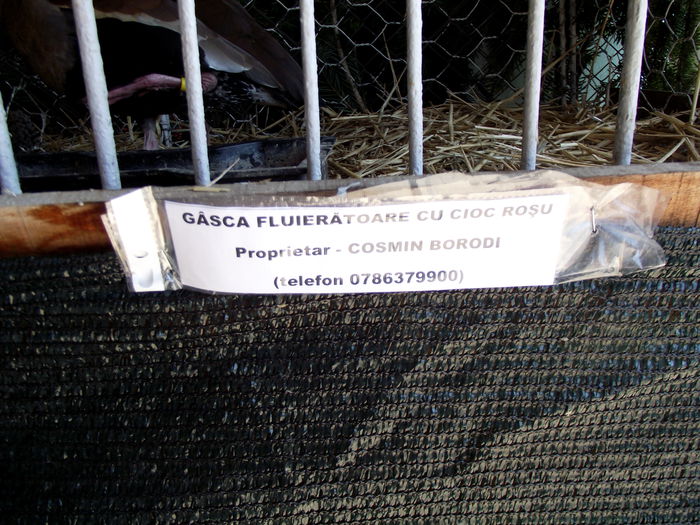 DSCF3200 - 8---expozitie banatagralim 29 05 2015-31 05 2015