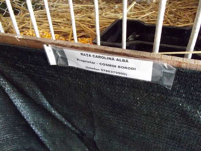 DSCF3210 - 8---expozitie banatagralim 29 05 2015-31 05 2015