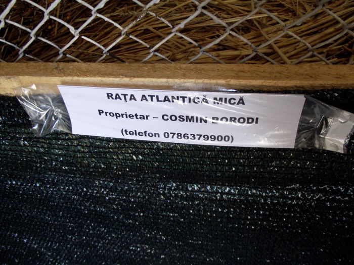 DSCF3214 - 8---expozitie banatagralim 29 05 2015-31 05 2015