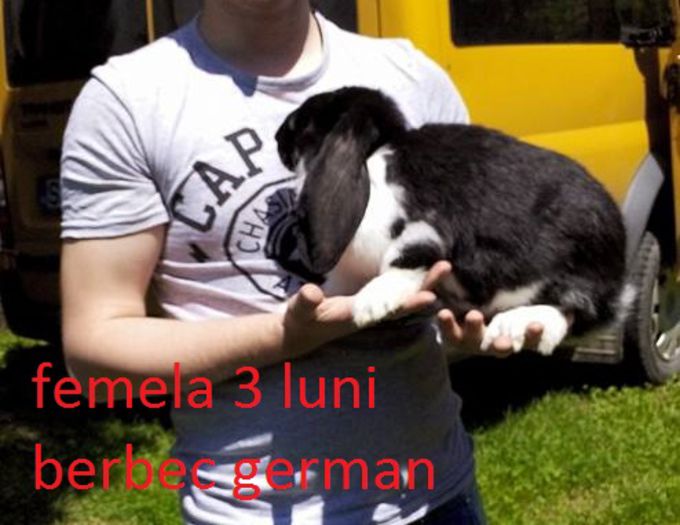 10411082_797784310328450_1570886312066315592_n