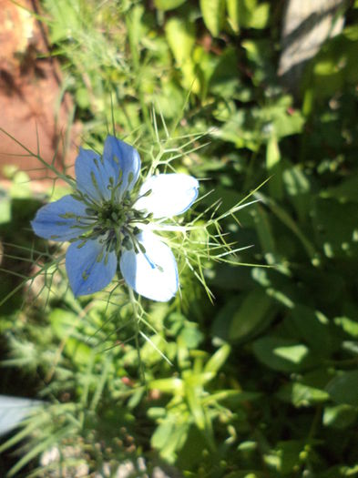 DSC03964 - ANUL 2015