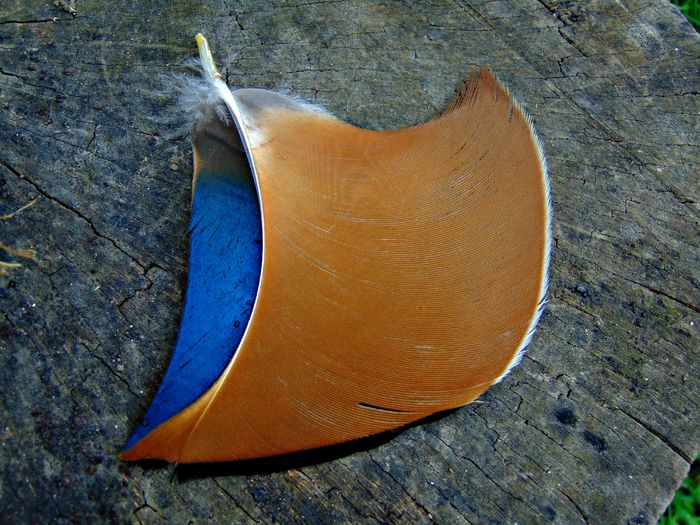 DSC07881