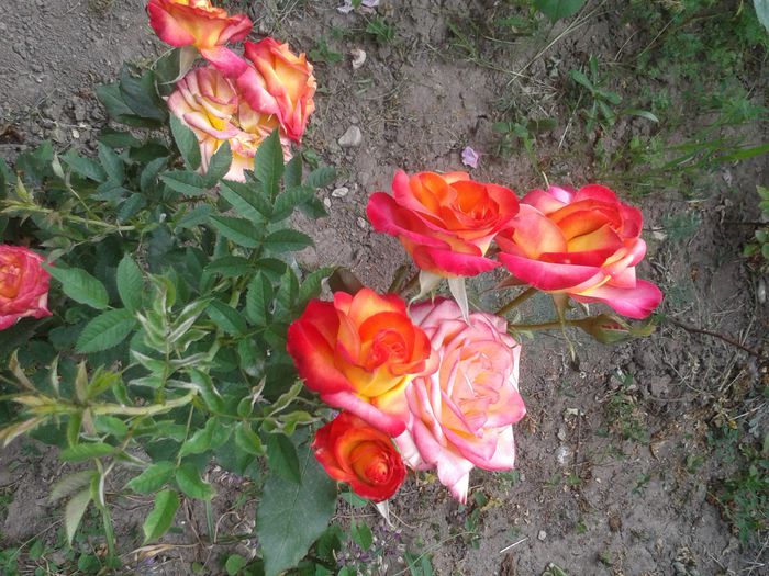 20150531_152756