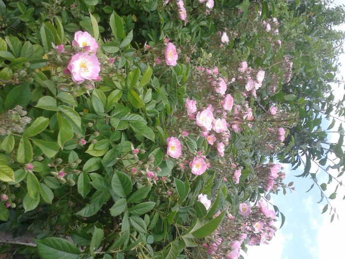 20150531_153110