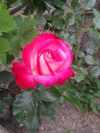 20150531_153123