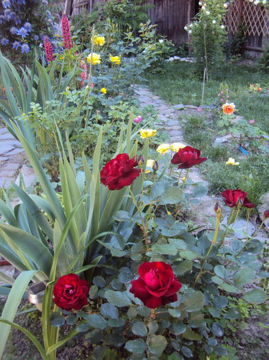 DSC07705