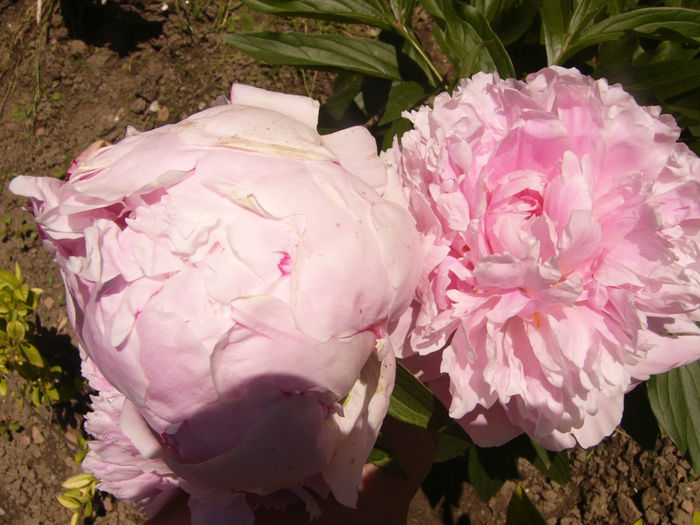 P1240467