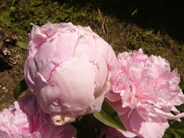 P1240468