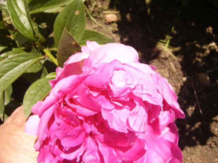 P1240471