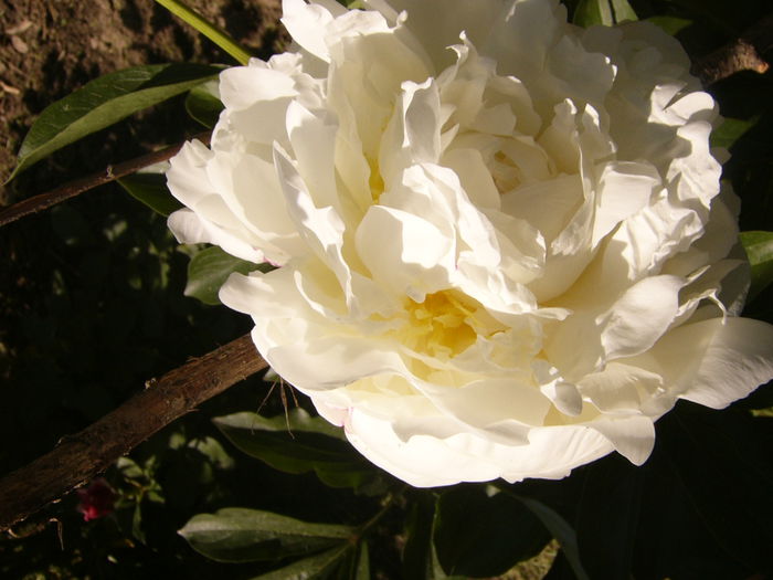 P1240472
