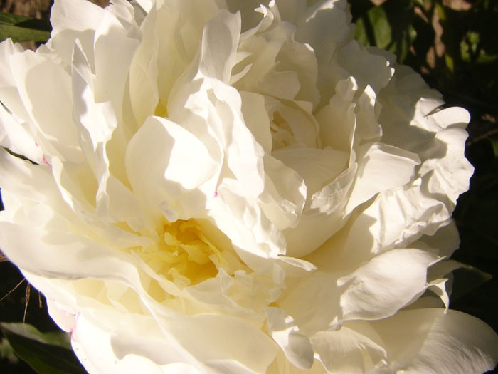 P1240473
