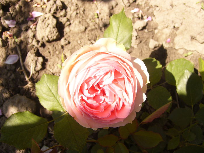 P1240488