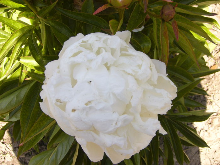 P1240489