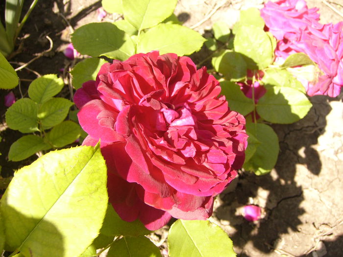 P1240493