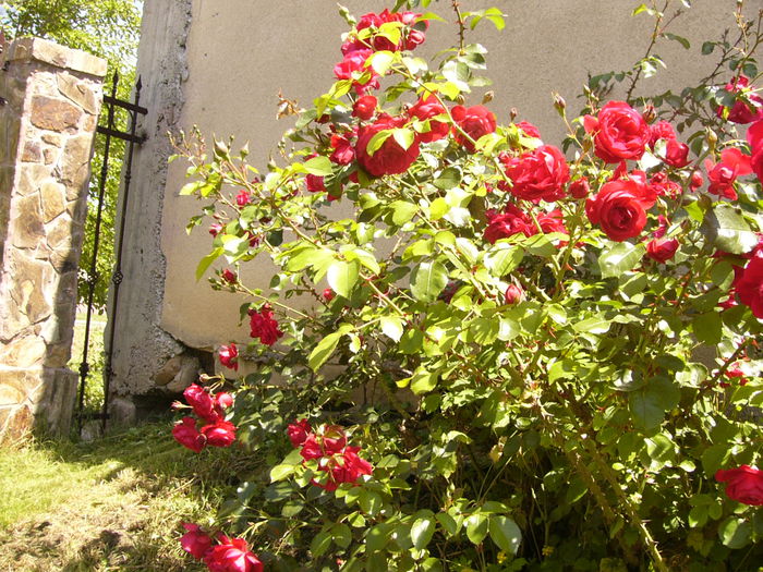 P1240496